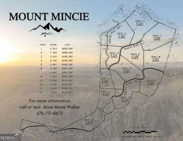 LOT 5 Mount Mincie Road, Murrayville, GA 30564