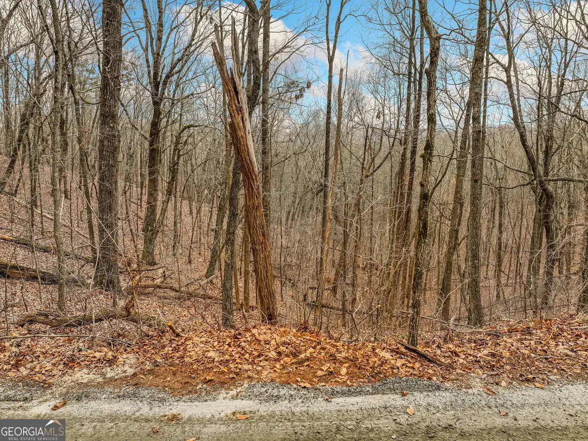 LOT 6 Mount Mincie Road, Murrayville, GA 30564 - #1