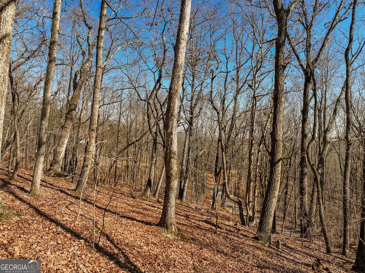 LOT 8 Mount Mincie Road, Murrayville, GA 30564 - #1