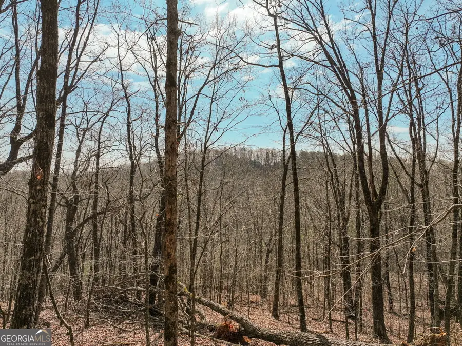 LOT 10 Mount Mincie Road, Murrayville, GA 30564 - #2