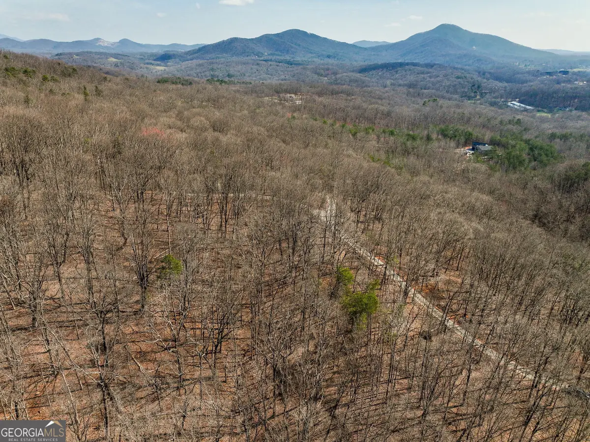LOT 11 Mount Mincie Road, Murrayville, GA 30564 - #1