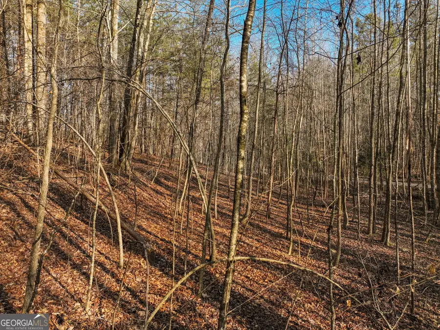 LOT 12 Mount Mincie Road, Murrayville, GA 30564 - #2