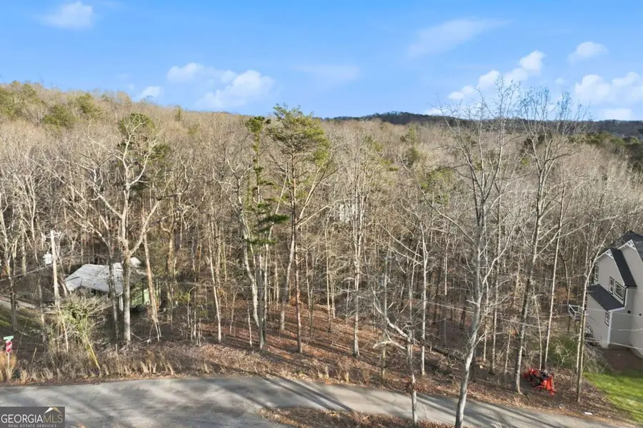 7703 Elm Circle, Murrayville, GA 30564 - #3