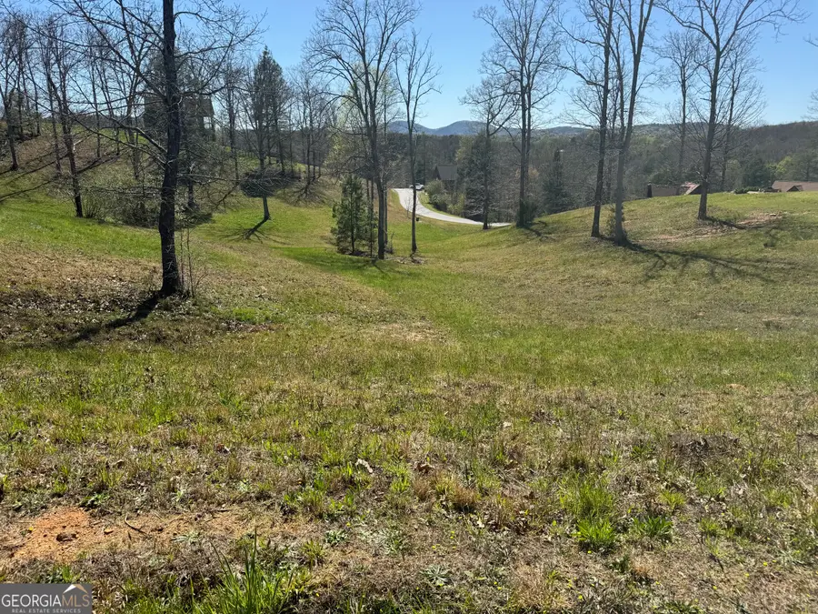 0 Lola Drive, Blairsville, GA 30512 - #2