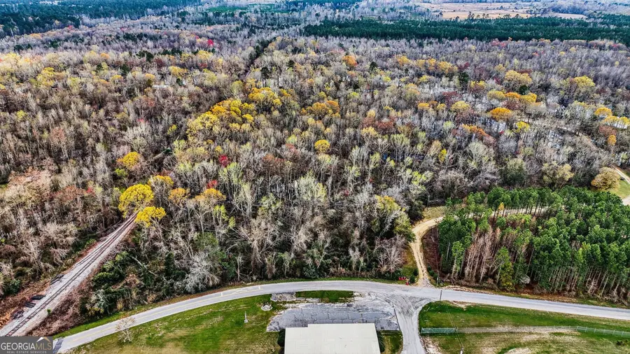 32 Brannen Landing Road, Midville, GA 30441 - #3