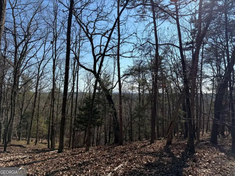 0 Brookshire Road, Ranger, GA 30734 - #2