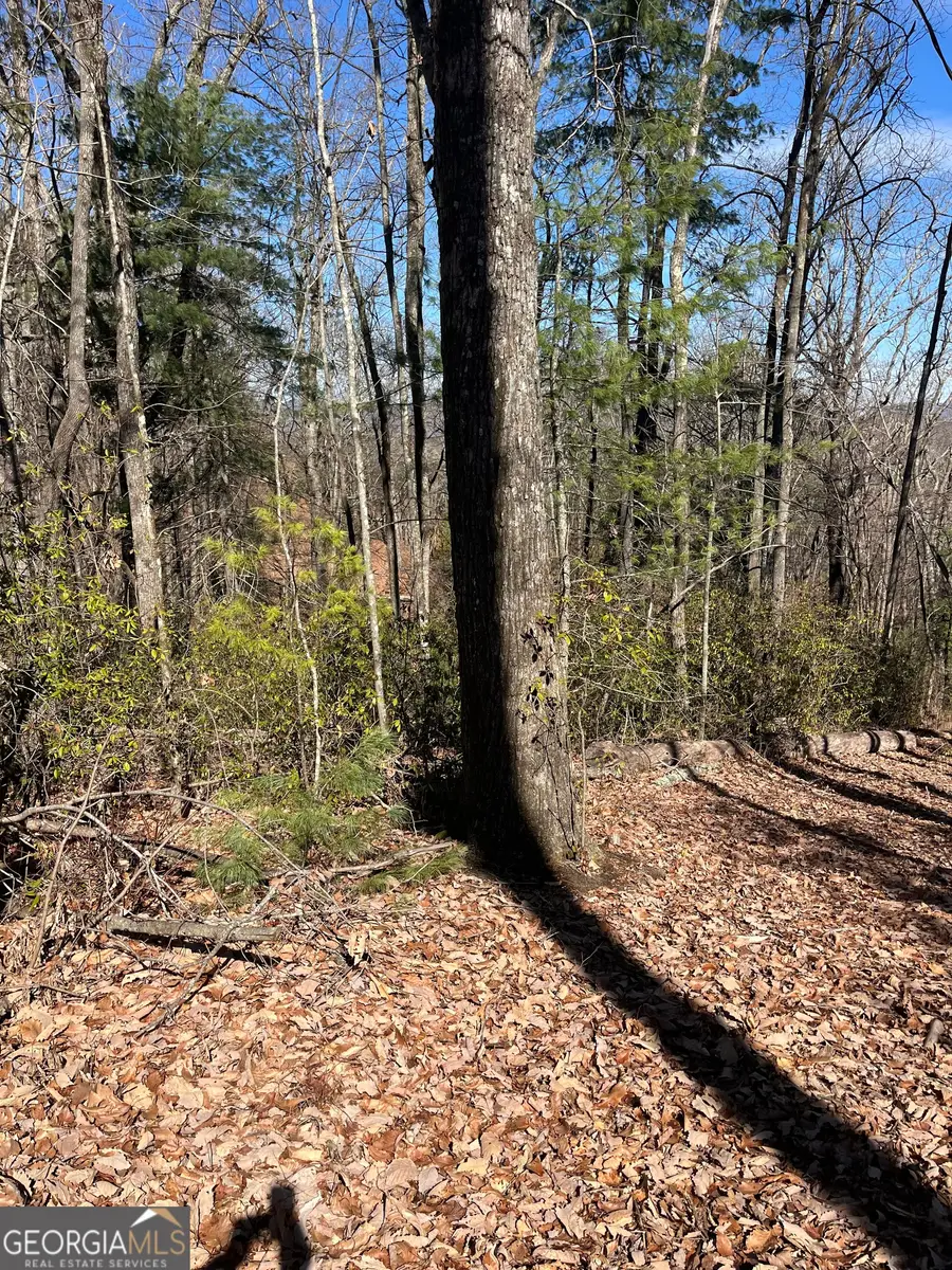 0 Eastman Mtn Road, Tiger, GA 30576 - #2