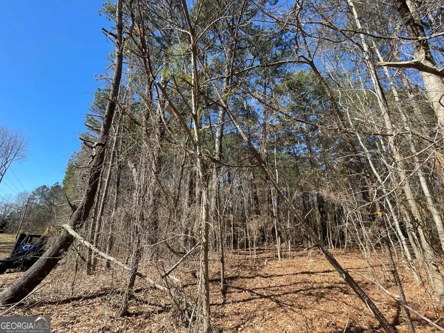 0 Brown Bridge Road, Covington, GA 30014 - #3