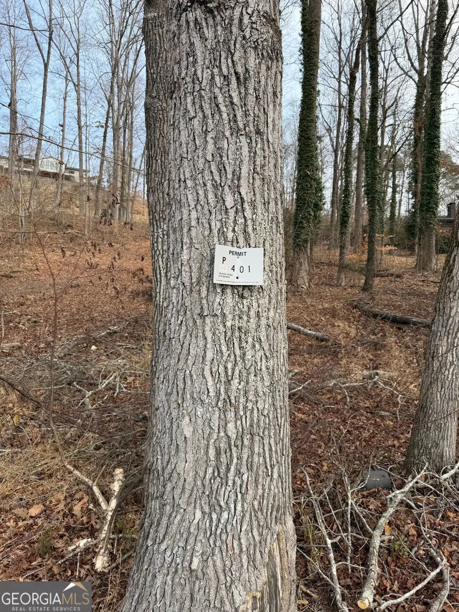 4551 Shoreline Drive, Gainesville, GA 30506 - #2