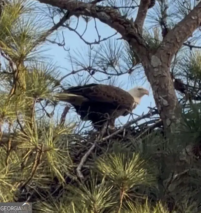 2966 Riviera Drive Nw, Conyers, GA 30012 - #3