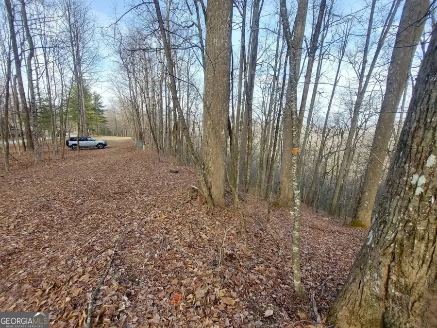 0 LOTS 9 & 9A Wild Bird, Sky Valley, GA 30537 - #2