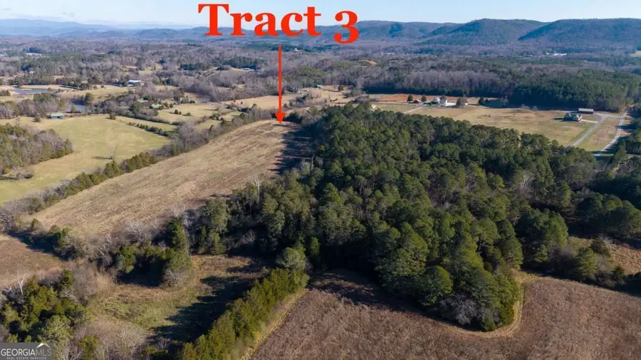 0 Liberty Church Road, Ranger, GA 30734 - #2