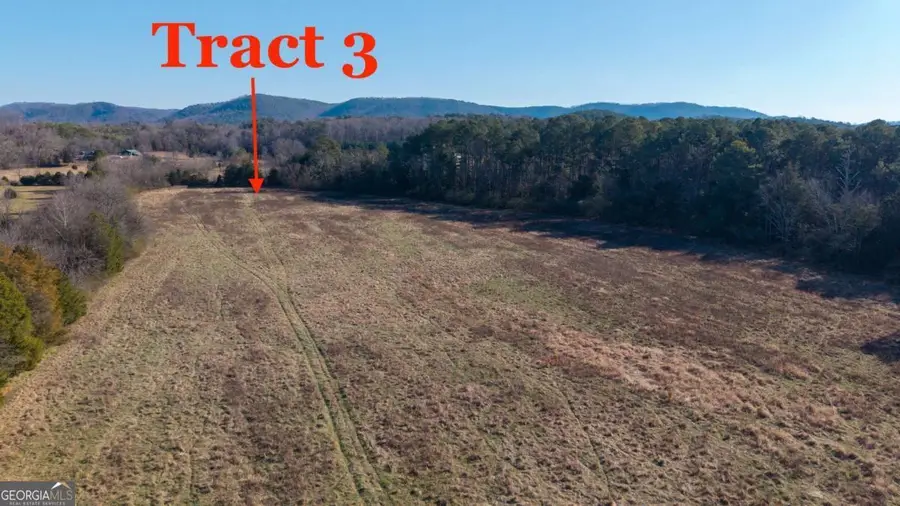 0 Liberty Church Road, Ranger, GA 30734 - #3
