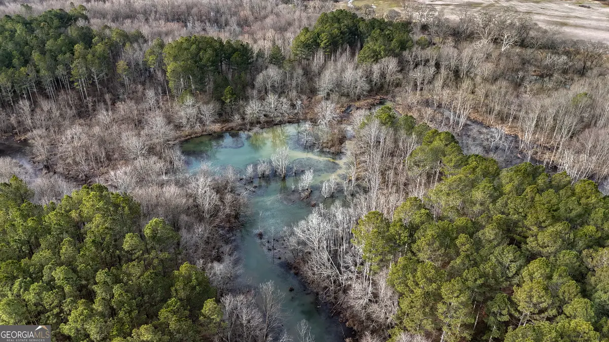 557 Acres On Taliaferro Springs Road, Lyerly, GA 30730 - #1
