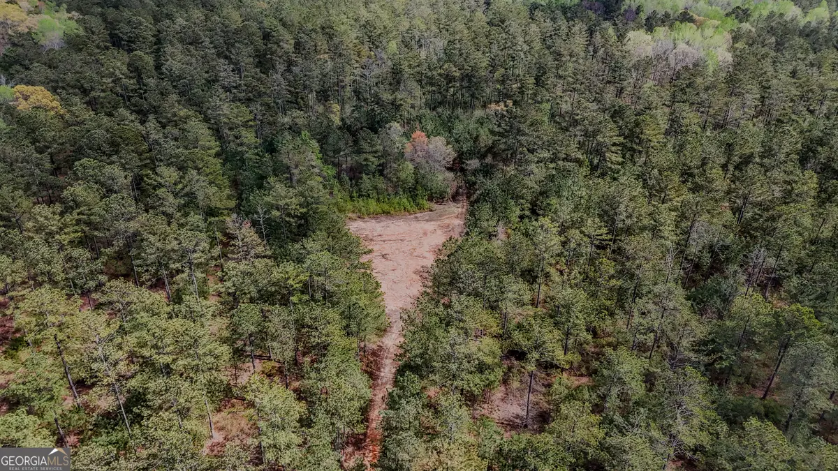 0 Hwy 166 Road, Carrollton, GA 30116 - #1