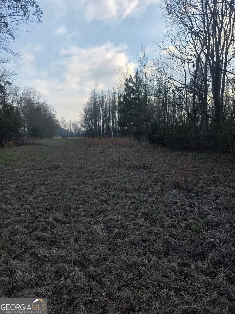 0 Perkins Greenfork Road, Millen, GA 30442 - #3