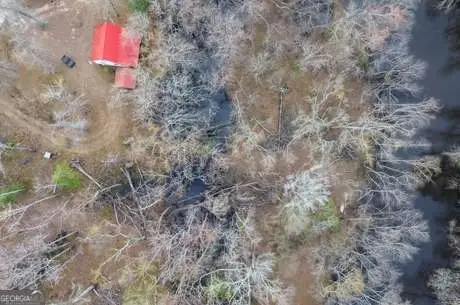 5230 Coleman Bridge Spur, Cobbtown, GA 30420 - #1