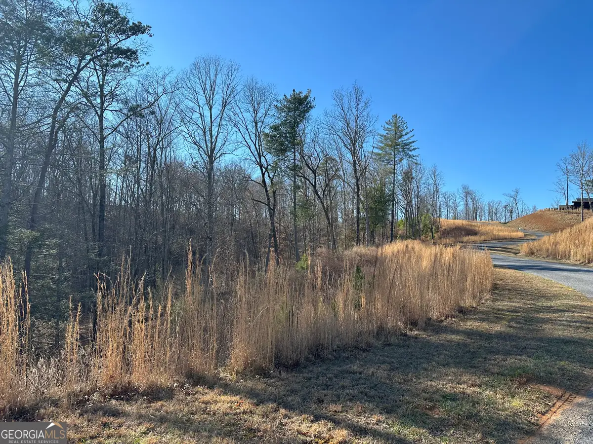 77 River Overlook Lane S, Ellijay, GA 30540 - #1