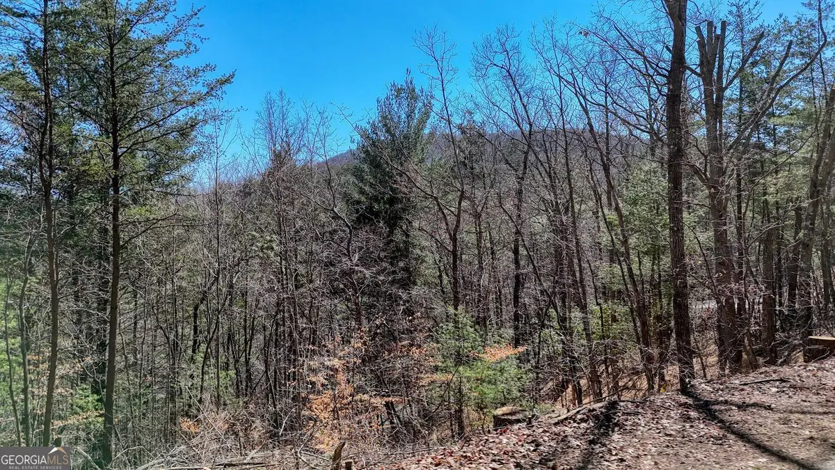 LOT 10 Butternut S/d / Firefly Ridge, Blairsville, GA 30512 - #1