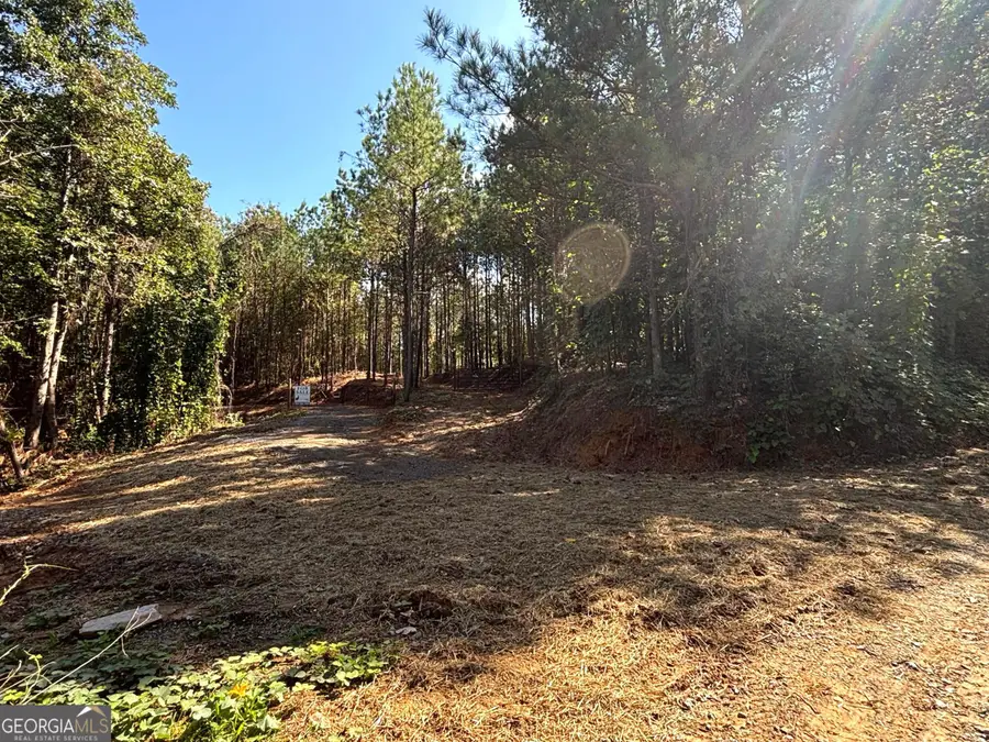 1 EAST Dry Pond Road #LOT 1 EAST, Ranger, GA 30734 - #2