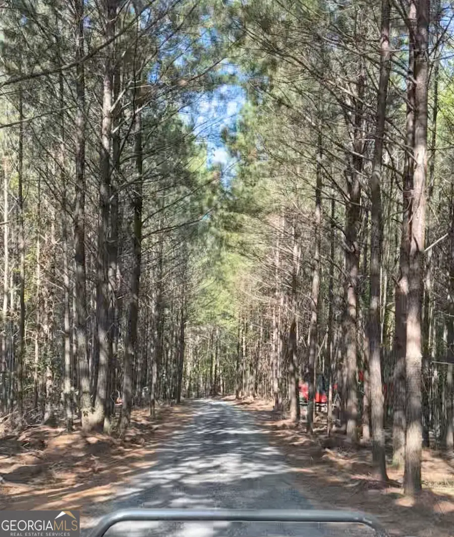 2 WEST Dry Pond Road #LOT 2 WEST, Ranger, GA 30734 - #3