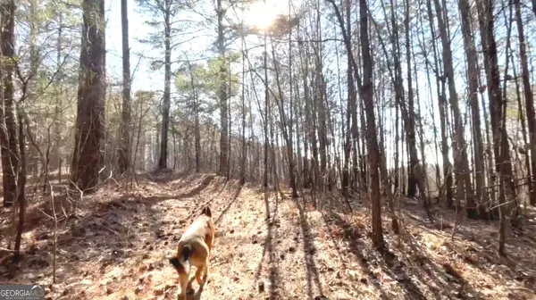 3 WEST Dry Pond Road #LOT 3 WEST, Ranger, GA 30734