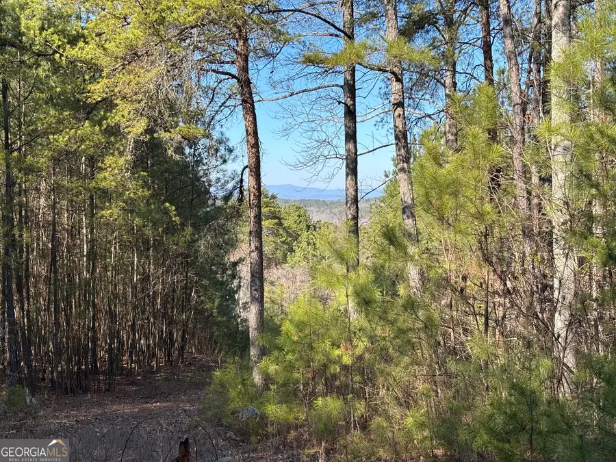 3 WEST Dry Pond Road #LOT 3 WEST, Ranger, GA 30734 - #2