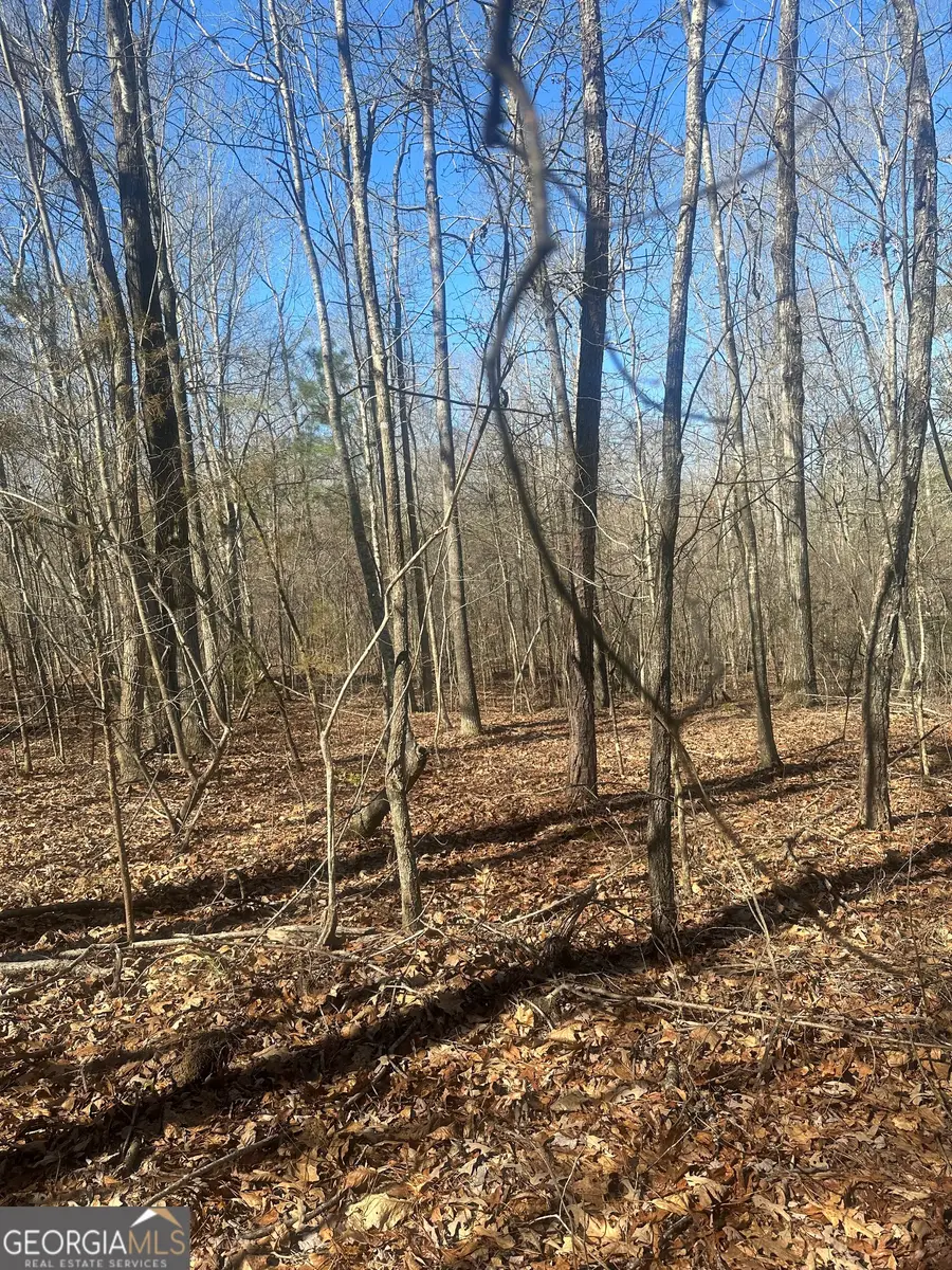 0 Summit View Road, Jackson, GA 30233 - #3