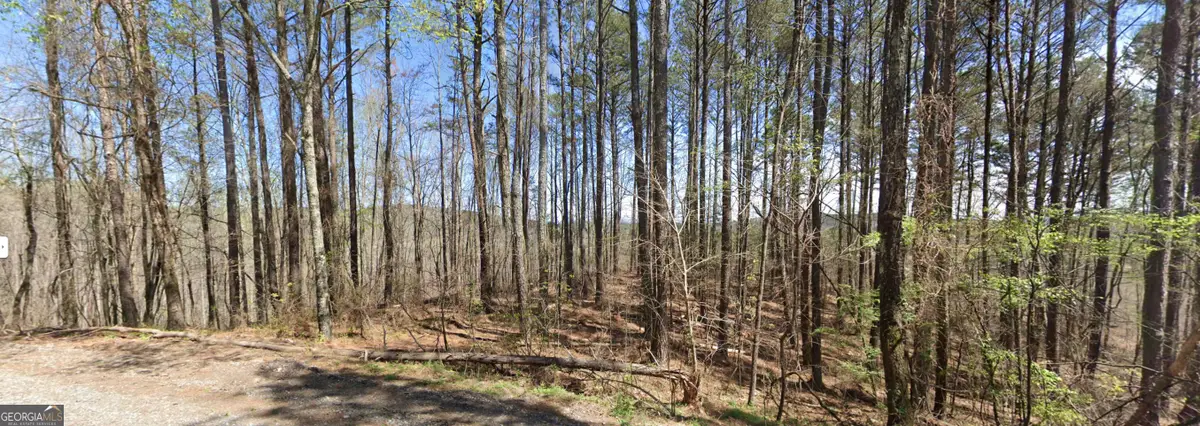4 WEST Dry Pond Road #LOT 4 WEST, Ranger, GA 30734 - #1