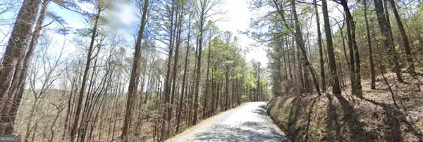 5 WEST Dry Pond Road #LOT 5 WEST, Ranger, GA 30734
