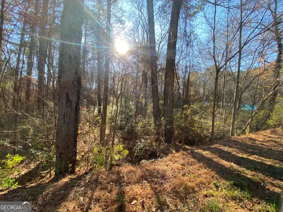LOT 11 Belletta Drive, Canton, GA 30114 - #3