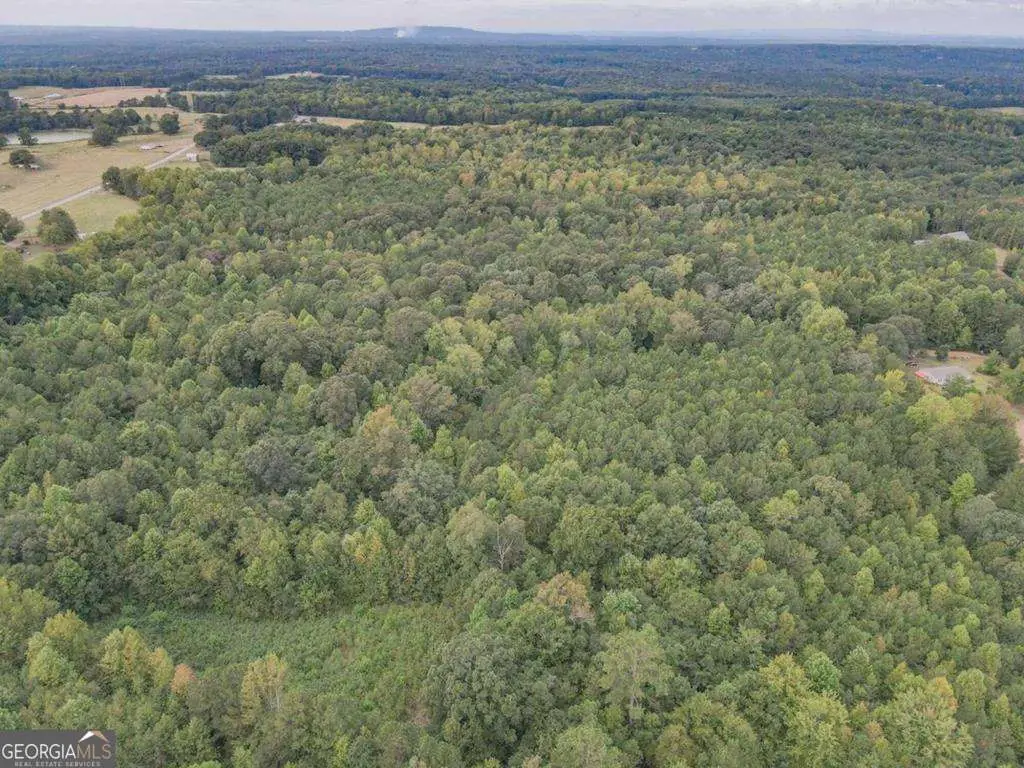 0 Roopville Veal Road, Roopville, GA 30170 - #1