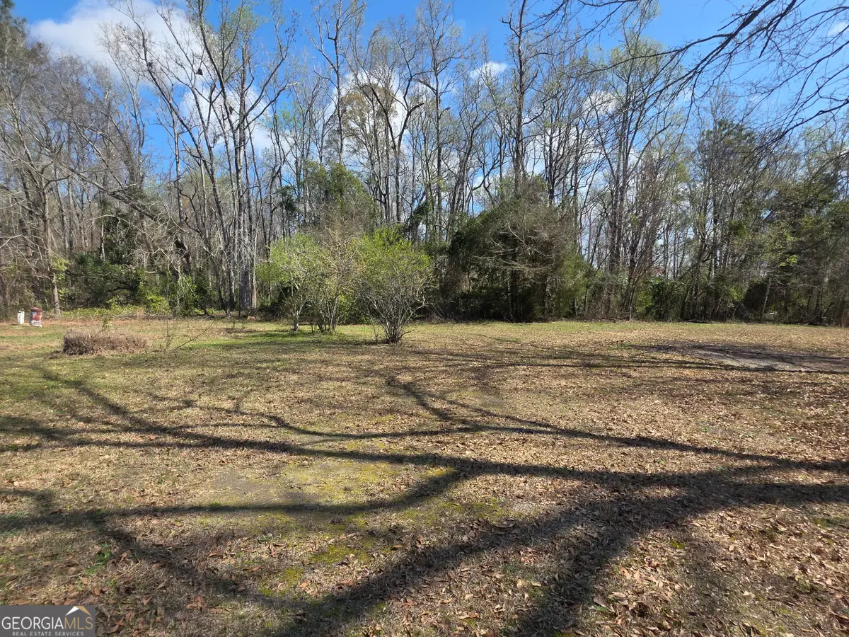 3576 Headstall Lane, Dearing, GA 30808 - #1