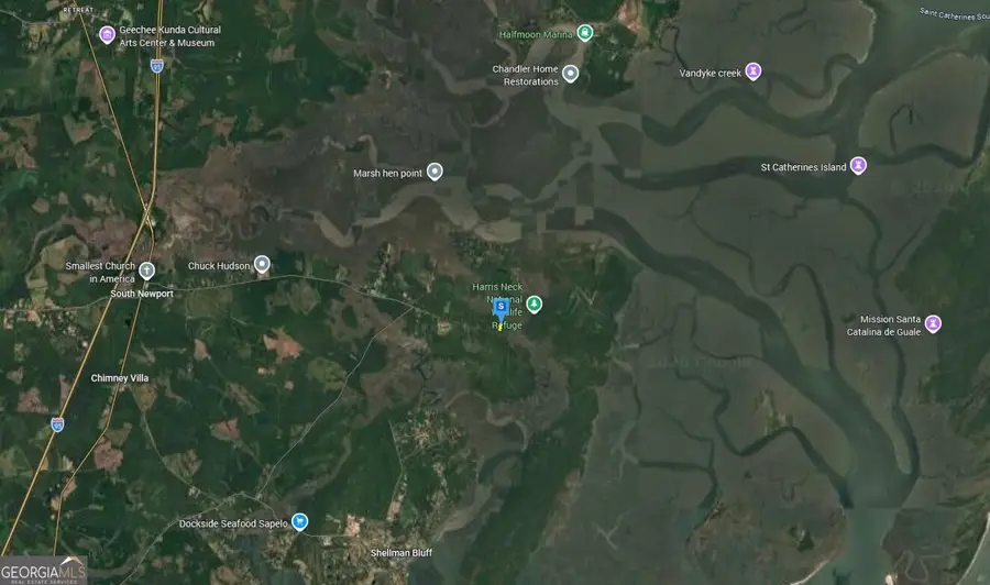 1151 Fiddlers Cove, Shellman Bluff, GA 31331 - #3