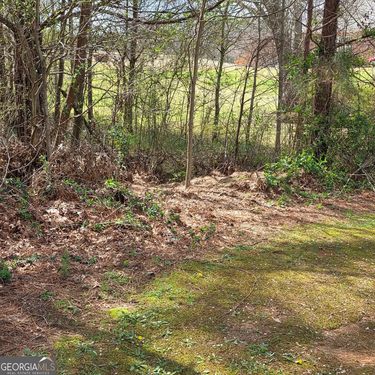 521 Birkdale Boulevard, Carrollton, GA 30116 - #1