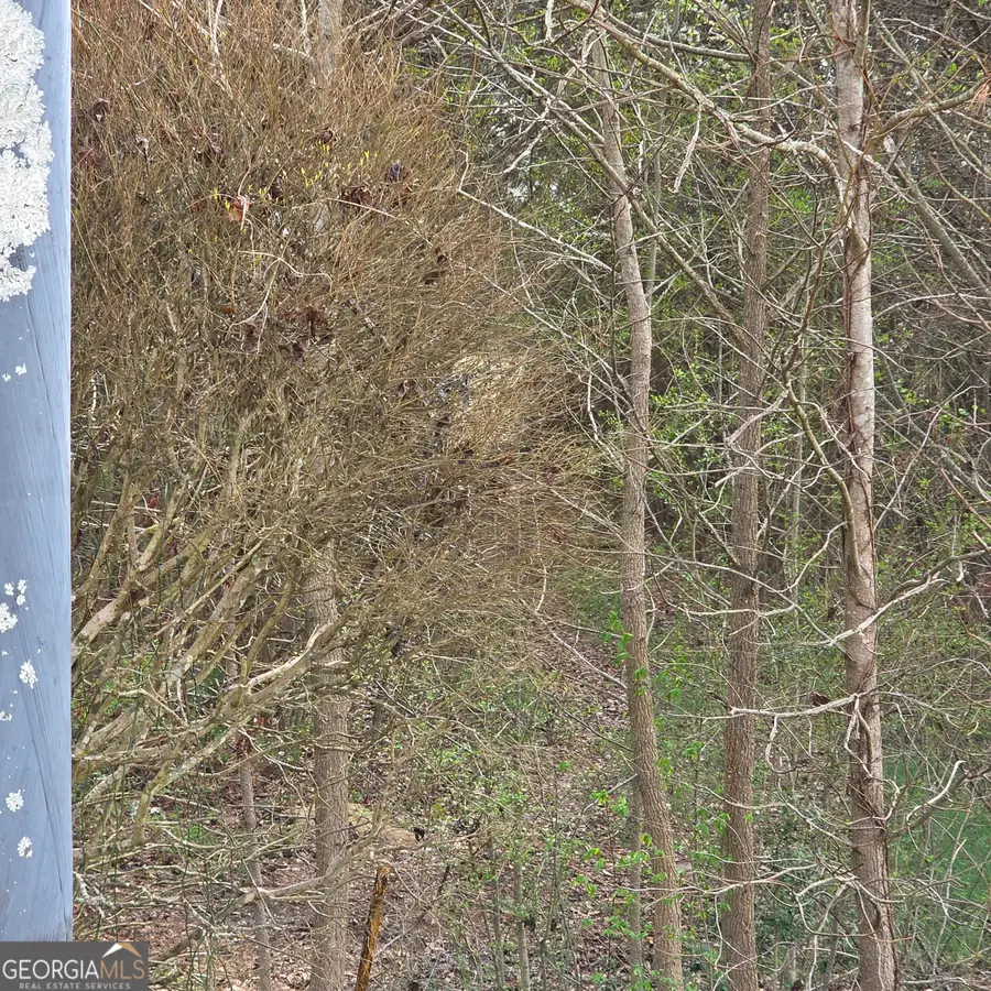 521 Birkdale Boulevard, Carrollton, GA 30116 - #3