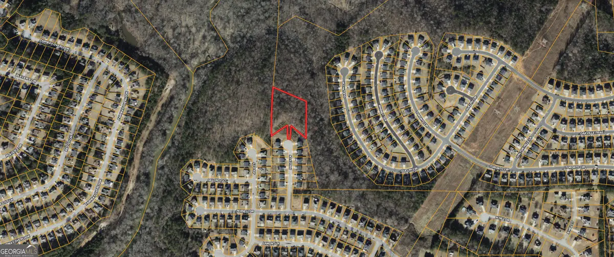 0 Haley Lane, Hampton, GA 30228 - #1