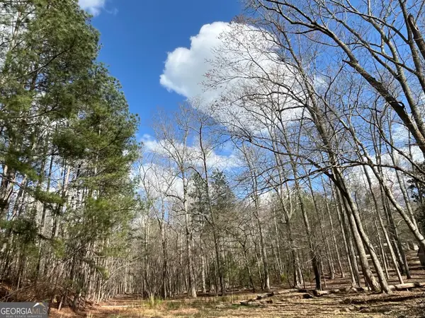 4360 Pool Road, Winston, GA 30187