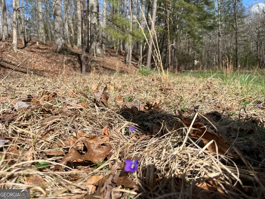 4360 Pool Road, Winston, GA 30187 - #3