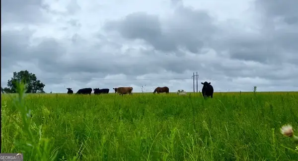 0 Lynntown Road, Collins, GA 30421