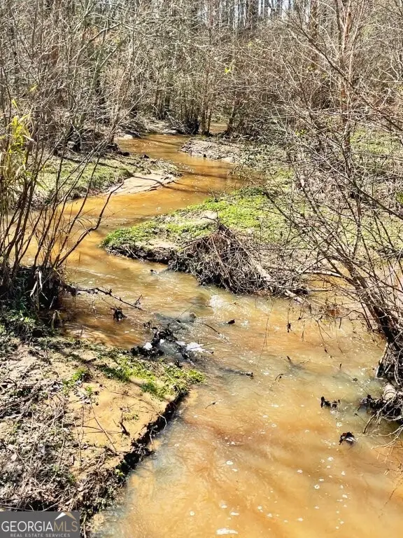 0 Brinkley Road, Barnesville, GA 30204 - #2