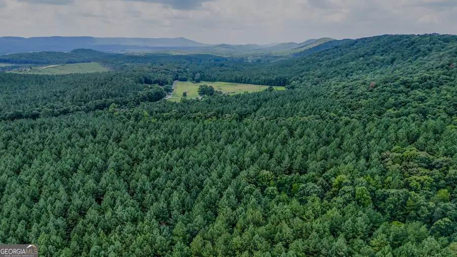 TRACT 4 Back Valley Road, Lyerly, GA 30730 - #3