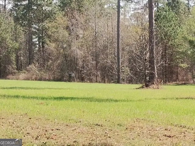 0 Old Copelan Road, Eatonton, GA 31024 - #2