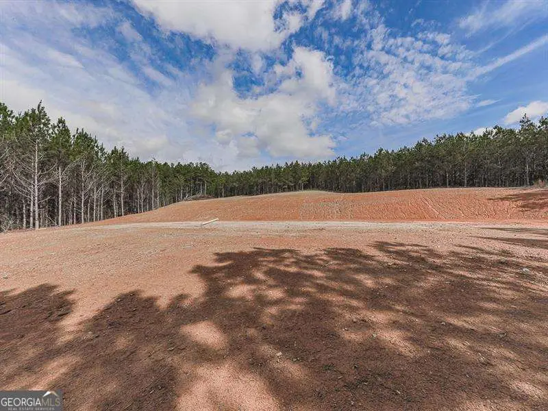 1121 Trimble Hollow Road Se, Adairsville, GA 30103 - #1