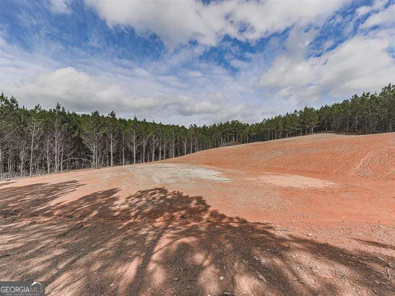 1121 Trimble Hollow Road Se, Adairsville, GA 30103 - #2