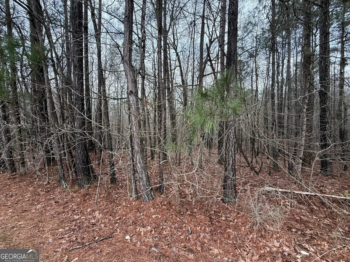 0 Cheryl Street #LOTS 38, 39, 40, Luthersville, GA 30251 - #1
