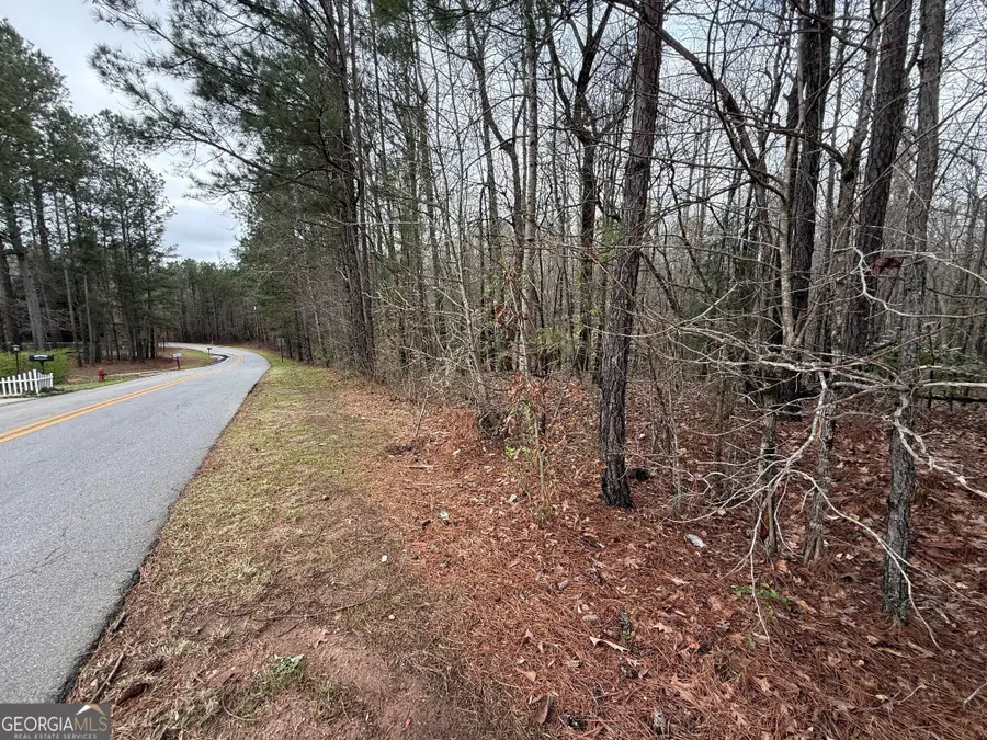 0 Cheryl Street #LOTS 38, 39, 40, Luthersville, GA 30251 - #2