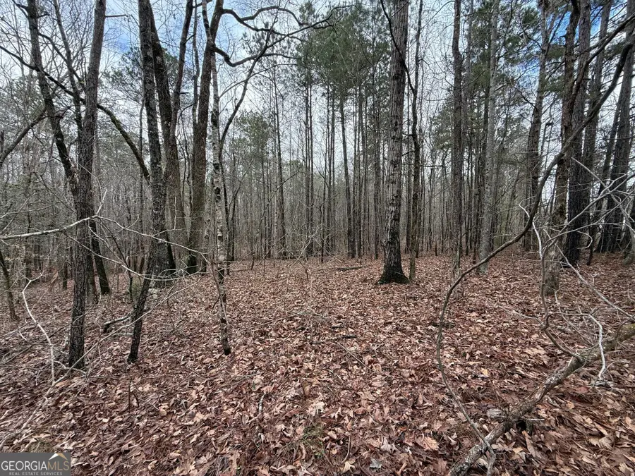 0 Cheryl Street #LOTS 38, 39, 40, Luthersville, GA 30251 - #3