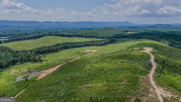 TRACT 8 Back Valley Road, Lyerly, GA 30730