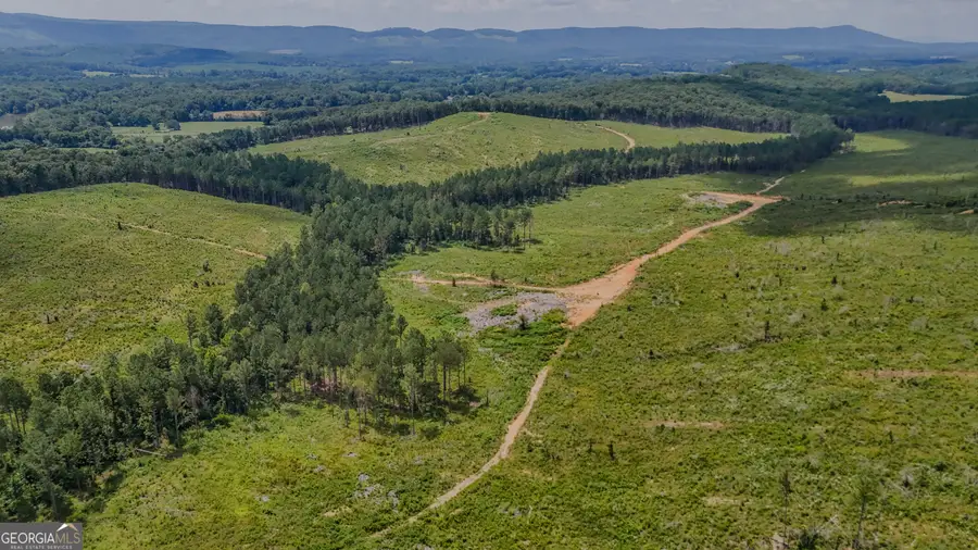 TRACT 8 Back Valley Road, Lyerly, GA 30730 - #3